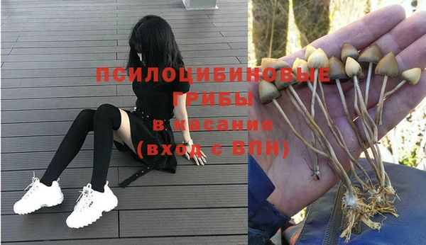 спиды Зеленодольск